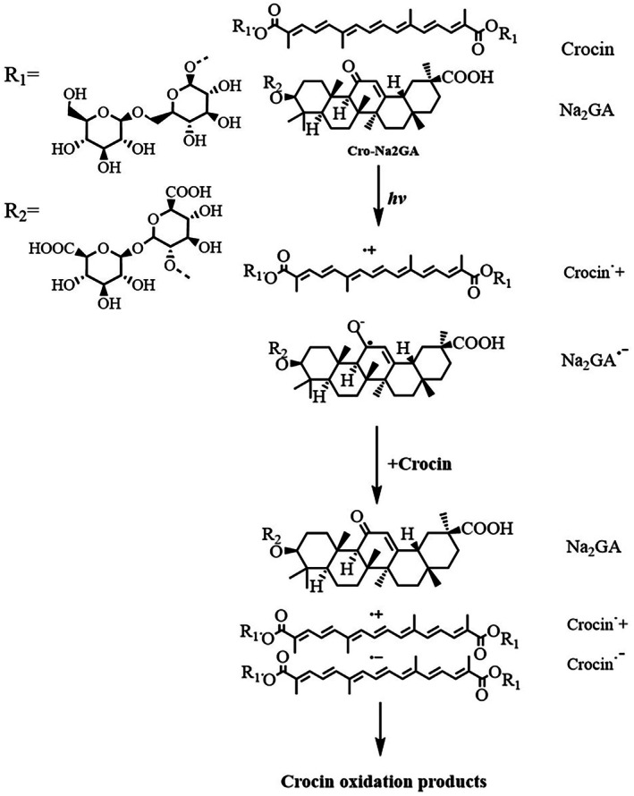 SCHEME 1