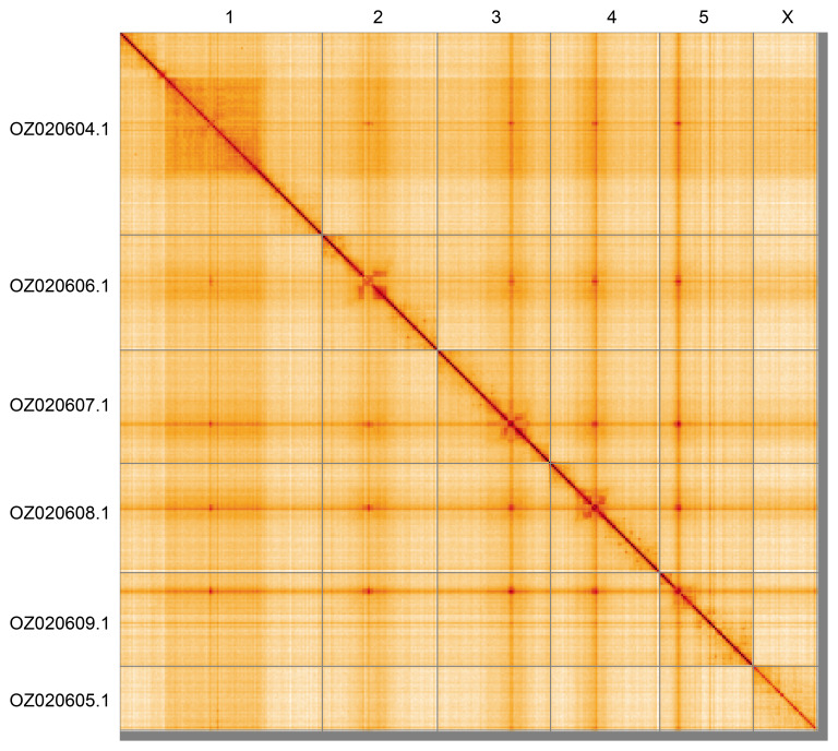 Figure 5