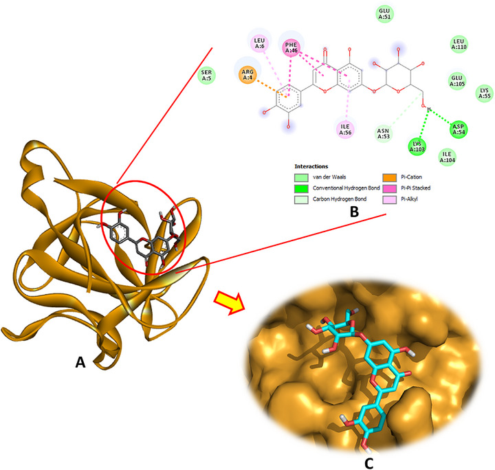 Figure 4