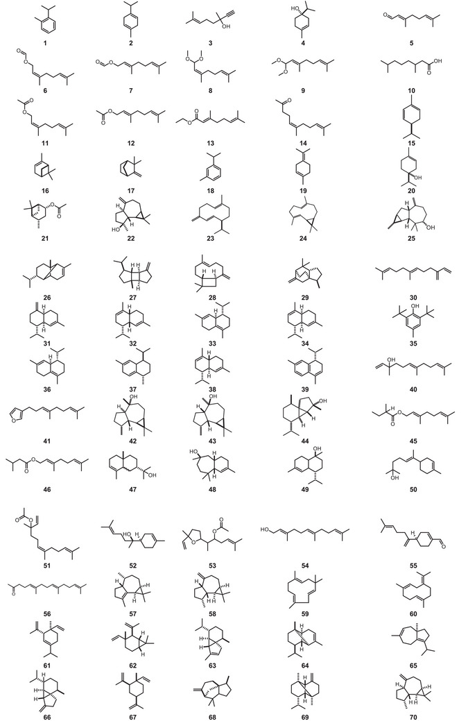 Figure 8