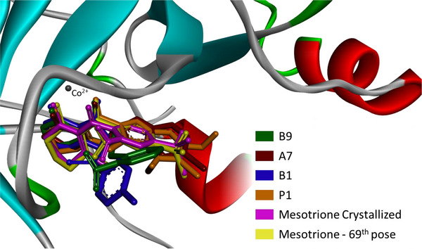 Figure 7