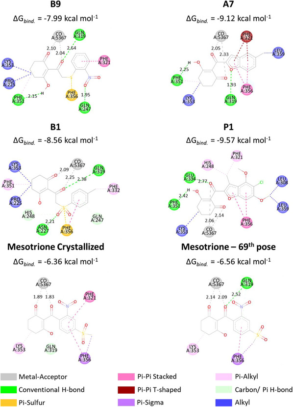 Figure 12