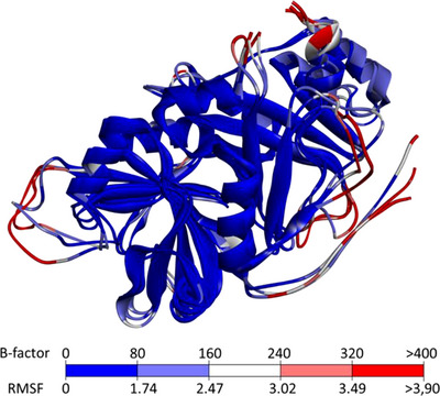 Figure 13