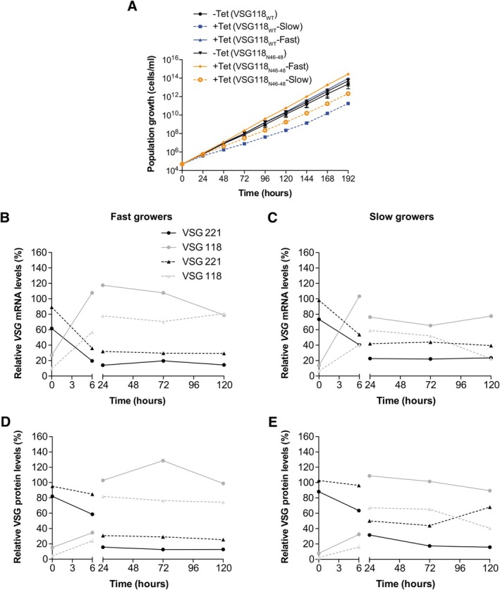 FIGURE 6