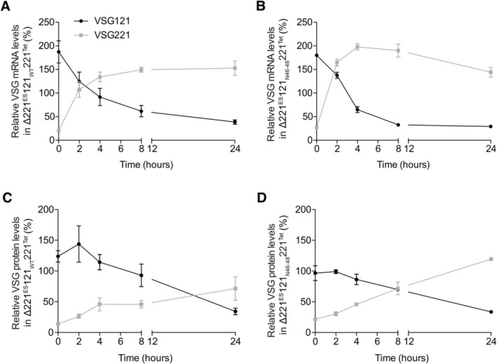 FIGURE 4