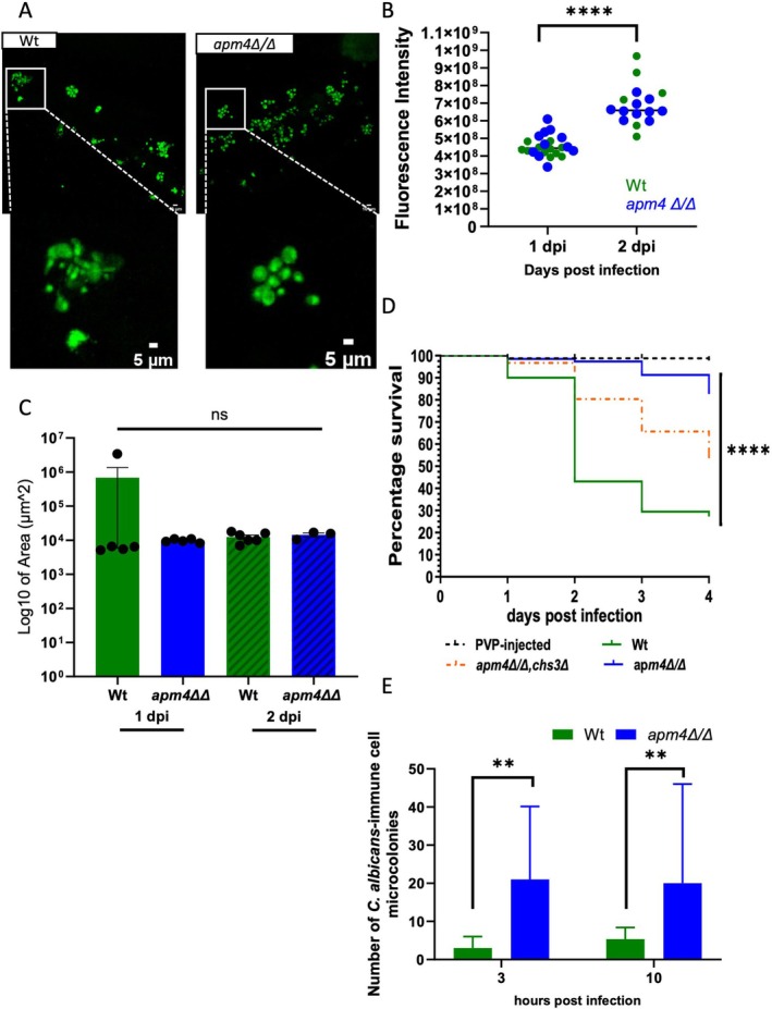 FIGURE 4