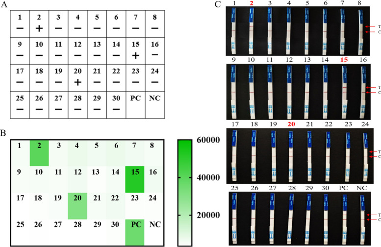Figure 6