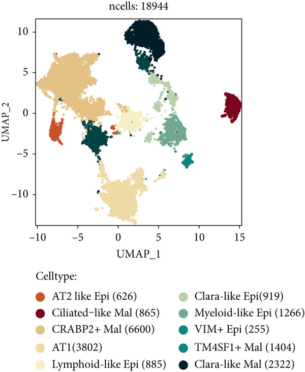 Figure 11