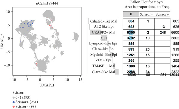 Figure 20