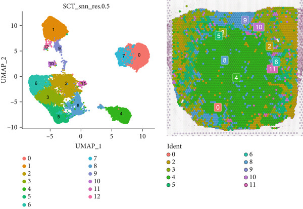 Figure 24