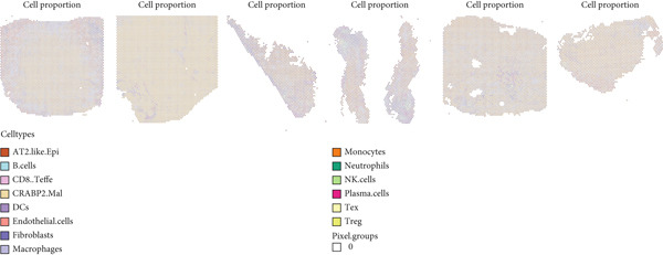 Figure 28