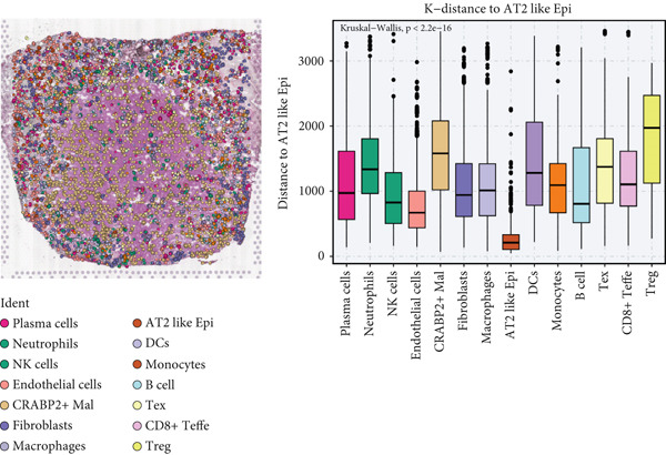 Figure 30
