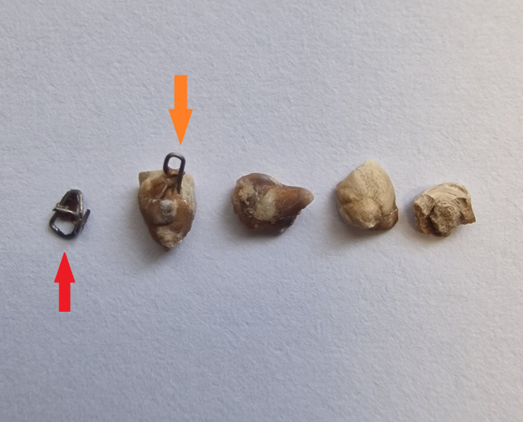 Figure 4