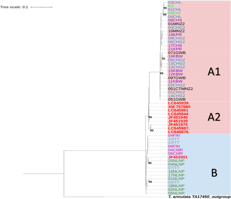 Figure 2