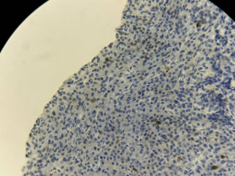 Figure 9