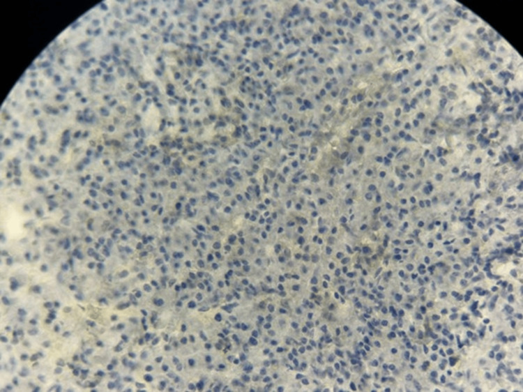 Figure 10