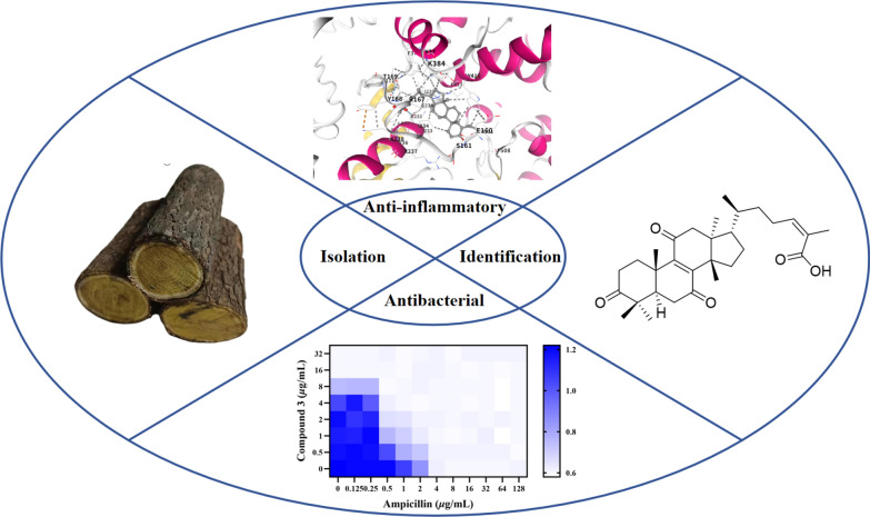 Figure 12