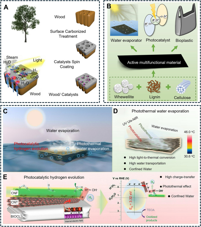 Figure 22
