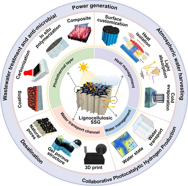 Figure 24