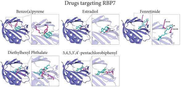 Figure 18
