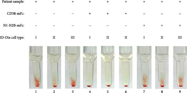 Figure 13