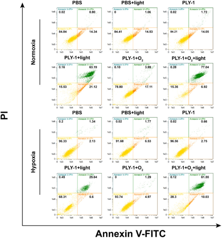 Figure 6