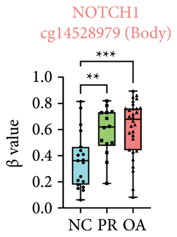Figure 20