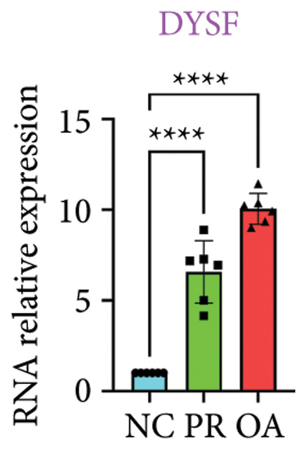 Figure 28