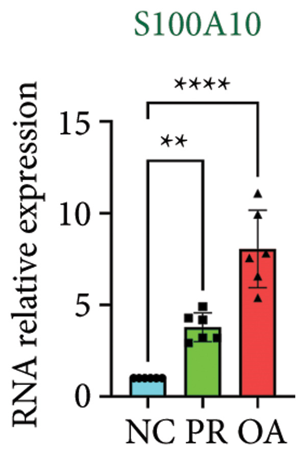 Figure 30