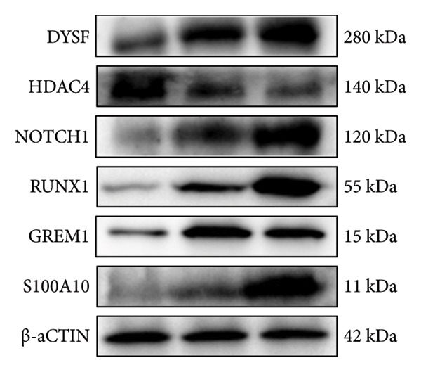 Figure 33