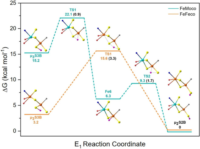 Figure 7