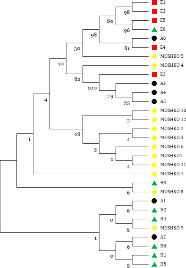 Figure 1