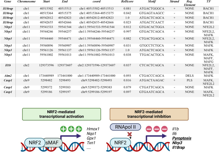 Figure 12