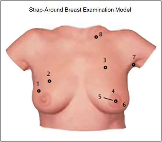 FIGURE 2