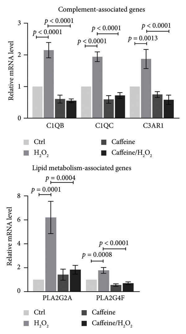 Figure 11