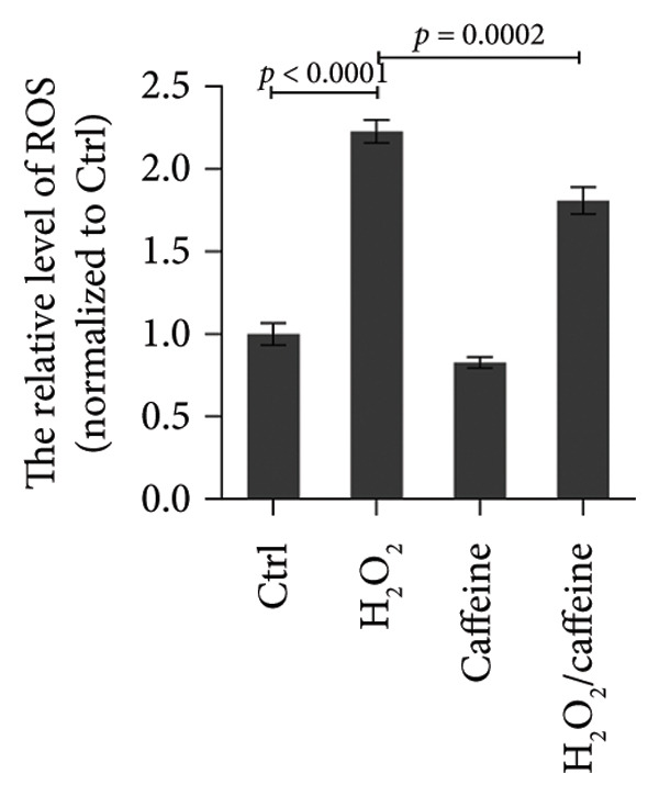 Figure 13