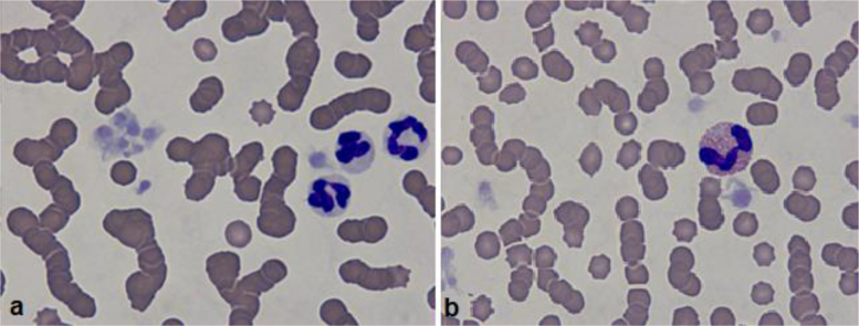 Fig. 2