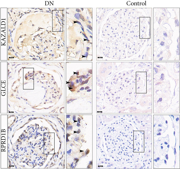 Figure 24