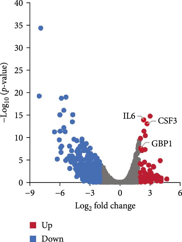 Figure 13