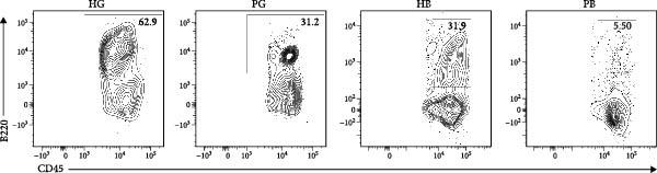 Figure 15