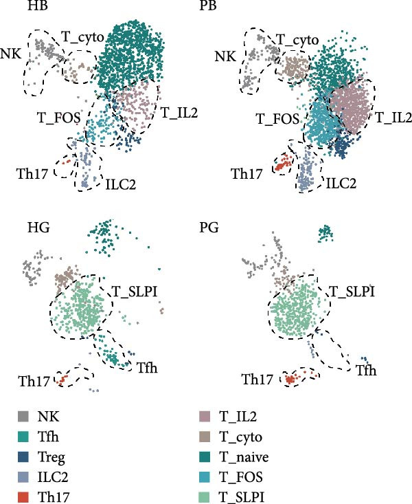 Figure 20