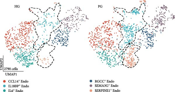 Figure 24