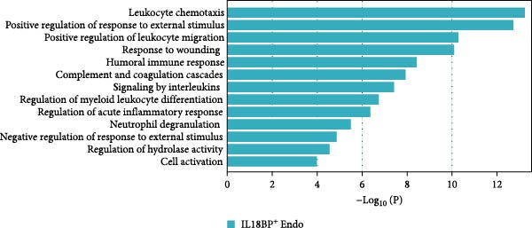 Figure 27