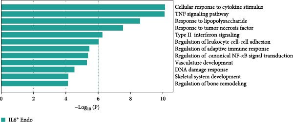 Figure 28