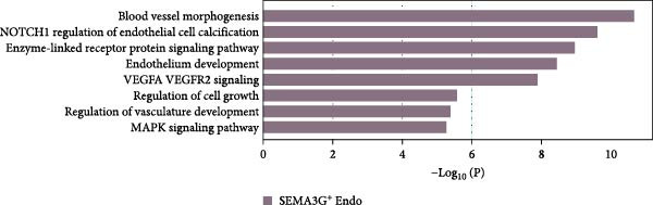 Figure 29