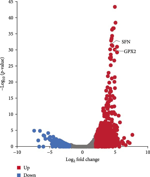 Figure 30