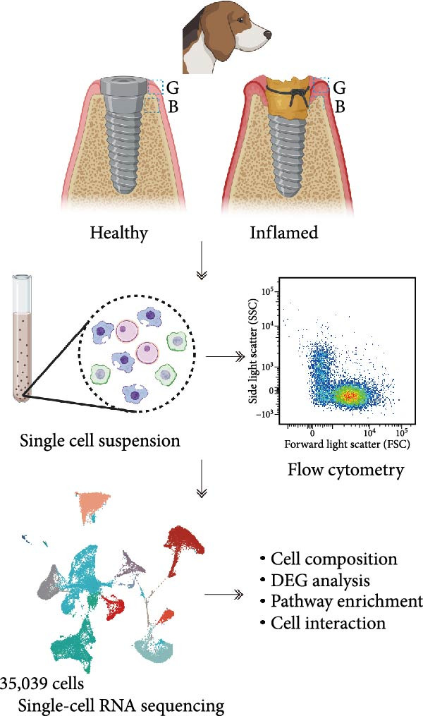 Figure 31
