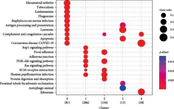 Figure 5