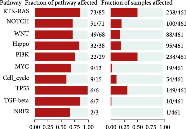 Figure 26