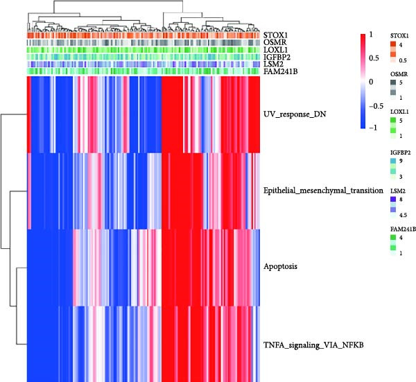 Figure 31